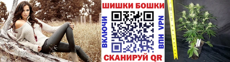 Где купить Барыш АМФ  A-PVP  Бутират  Мефедрон  Кокаин  Канабис 